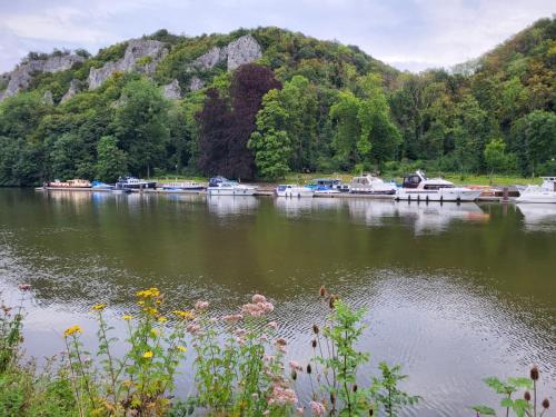 2pas2meuse in Waulsort