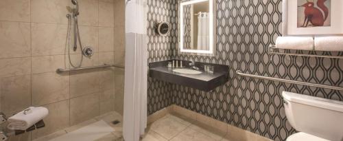 DoubleTree by Hilton Chicago-Wood Dale/Itasca - image 10