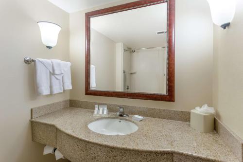 Hilton Garden Inn Richmond South/Southpark