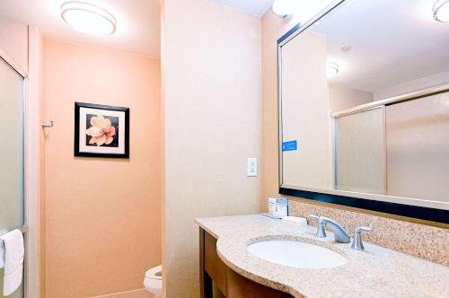 Hampton Inn & Suites Smithfield - image 6