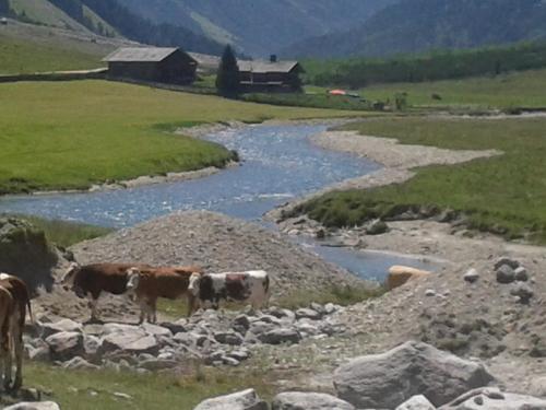 Alpenresidenz-Sonnwend - image 2
