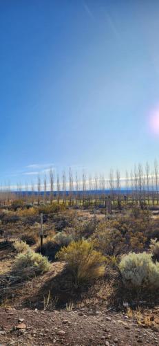 Refugio Chocón Medio - Neuquén (Refugio Chocon Medio - Neuquen) in 比利亞埃爾喬康