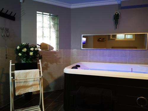 Suite Jacuzzi au calme