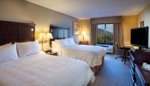 Hampton Inn Bennington - image 12