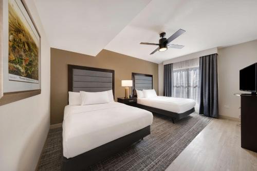 1 king bed, 2 queen beds, 1 sofa bed