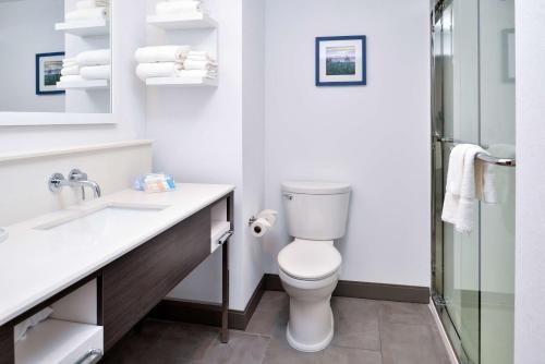 Hampton Inn Cedar Falls Downtown Ia - image 2