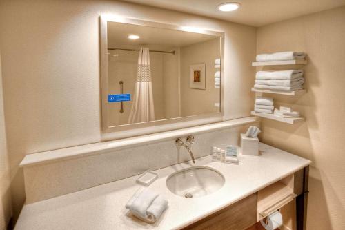 Hampton Inn By Hilton And Suites Asheville Airport