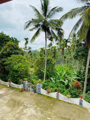 A környék, Wayanad Palm Grove Retreat G Floor in Kolagapaara