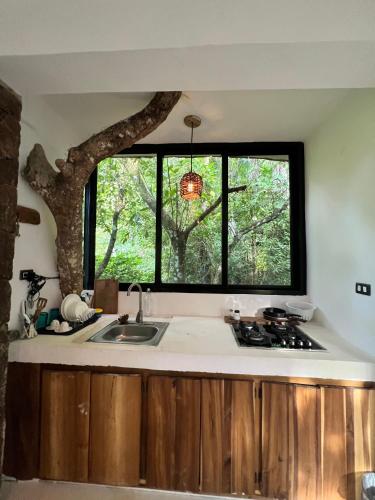 Taino Beach Lofts in ซามานา