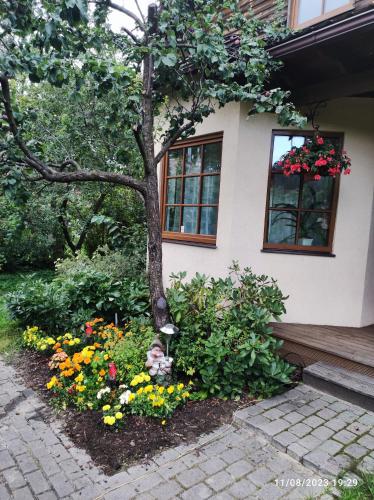 Boutigue city house with terrace and garden free parking, Riga (fotografie 11)