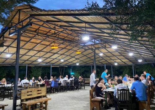 Lundra in Kuçovë