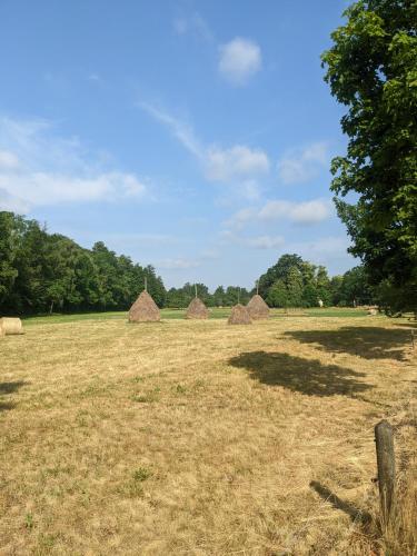 Am Waldrand Spreewald Room Type - Double Room with Private Bathroom