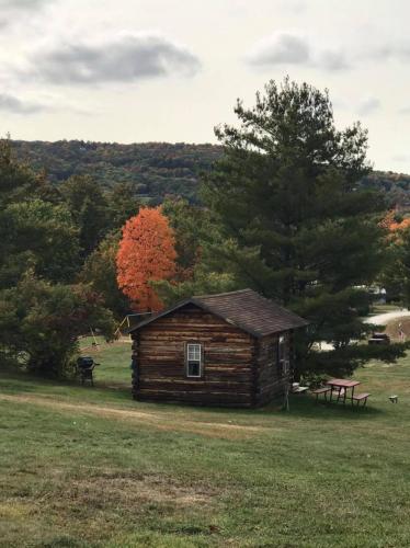 Заобикаляща среда, Lake Lauderdale Campground in Sandgate