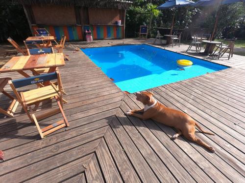 ทัศนียภาพ, Mangará Hostel e Hospedaria (Mangara Hostel e Hospedaria) in หาดโบเนเต