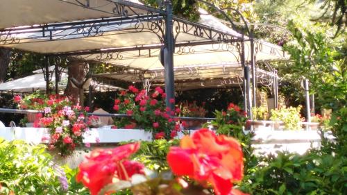 Hotel Pensione Moderna - image 14