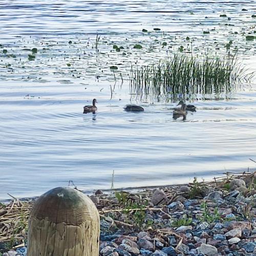 Ventspils apartamenti pie Rātslaukuma