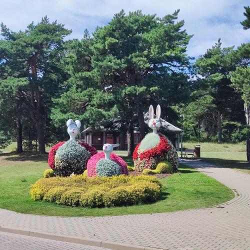 Ventspils apartamenti pie Rātslaukuma