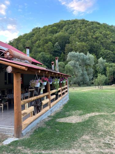 Cabana lui Foardă (Cabana lui Foarda) in Godeanu