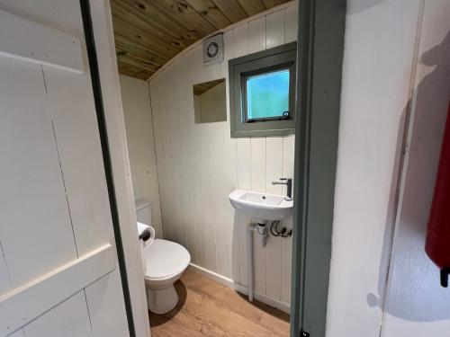 Cosy Shepherd's Hut with Hot Tub