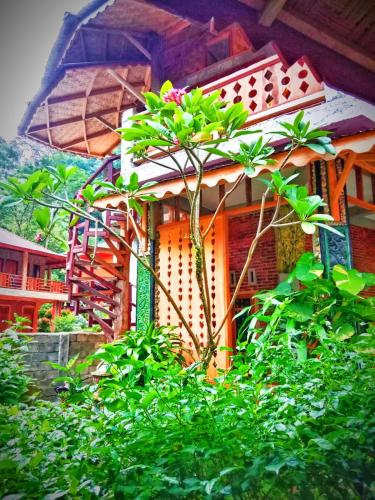 Eriono guest house Bukit lawang