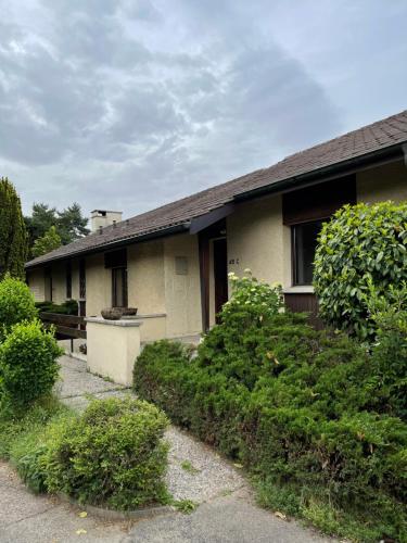  5 rooms in the same house in Genf