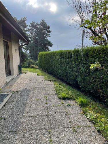  5 rooms in the same house in Genf