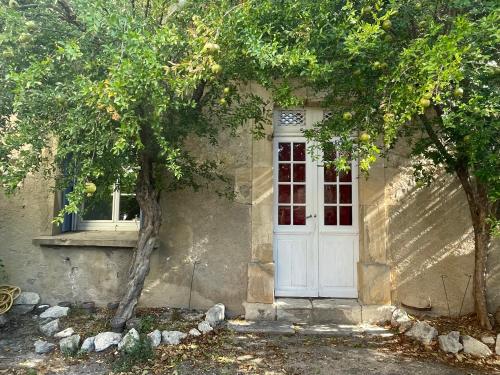 Du côté de chez nous - Apartment - Cuxac-dʼAude