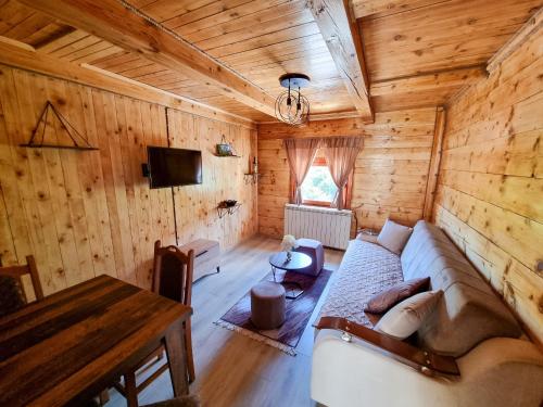 صالة مشتركة/ منطقة التلفزيون, OLD HOUSE LJUJIĆ (OLD HOUSE LJUJIC) in Nova Varoš