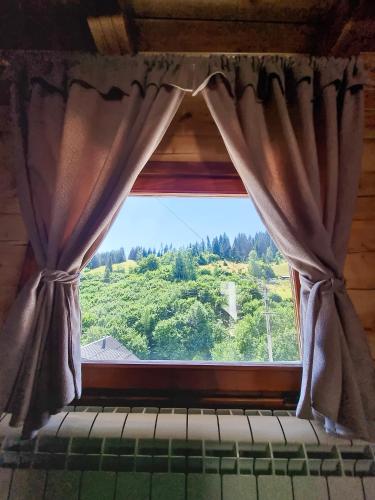 المنطقة المحيطة, OLD HOUSE LJUJIĆ (OLD HOUSE LJUJIC) in Nova Varoš