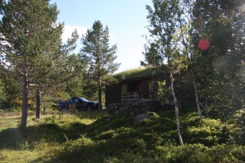 . Lemonsjø Fjellstue og Hyttegrend