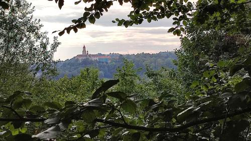 Apartmán Bříza, výhled na zámek