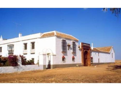 . Spacious apartment in Carmona with garden