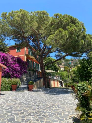 Le Magnolie - Accommodation - Santa Margherita Ligure