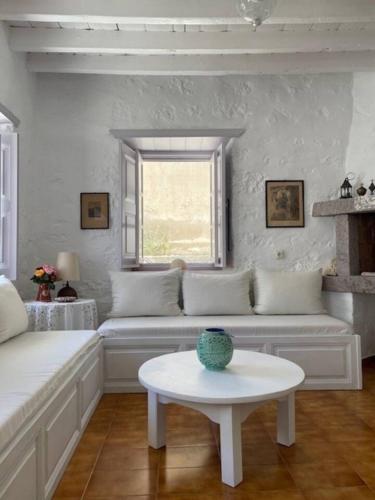 Villa Iza Patmos