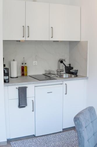 設施, Studio Apartment am Kurpark in 巴特塞格貝爾格