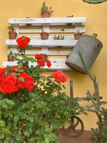 Agriturismo Il Bardellino