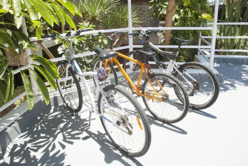 Apartamentos El Paseo - image 3