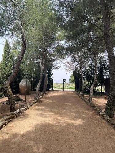 Finca Los Molinos