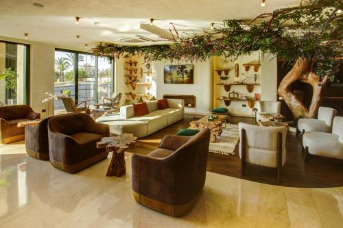 로비, Bratus Hotel in 아카바