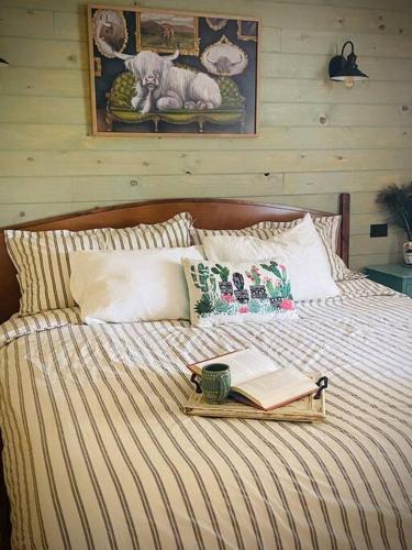 Modern Cabin with Hill Country Views in Rio Frio (TX)