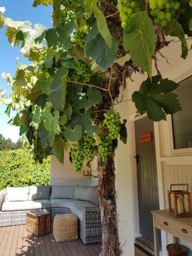 Vistas, Karetu Downs Farm Stay in Amberley