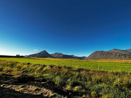 REY Stays - Small & Cozy Studio in Hornafjordur