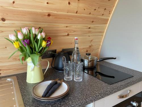 Kitchen, Waterpump Pod for 2 adults with ensuite in the Suffolk Countryside in Badingham