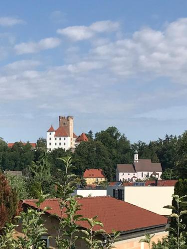 House with castle view & art