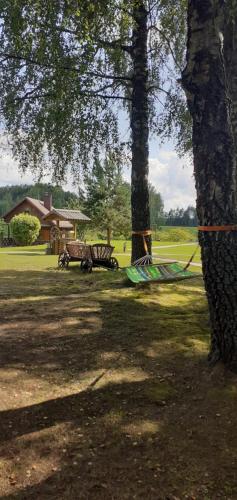 Apkārtne, Vila Mera in Strūnaičio
