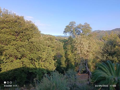 Dîner vue mer avec l'Estérel - Location saisonnière - Les Adrets-de-l'Estérel