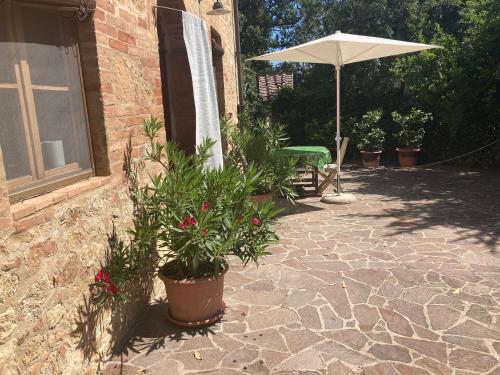  LA VIGNA Agriturismo in Siena