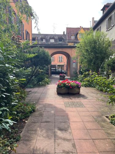 Colmar, Petite Venise, Appartement avec Ascenseur - Location saisonnière - Colmar