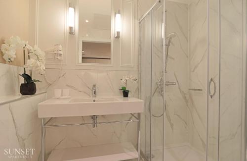 One-Bedroom Apartment image 7