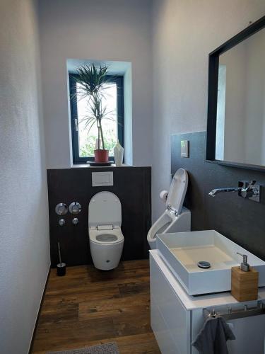 Ванна кімната, Privatzimmer nahe Legoland in Niederstotzingen